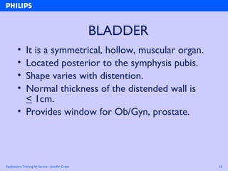 Applications Training for Service - Jennifer Green 56
BLADDER
• It is a symmetrical, hollow, muscular organ.
• Located posterior to the symphysis pubis.
• Shape varies with distention.
• Normal thickness of the distended wall is
< 1cm.
• Provides window for Ob/Gyn, prostate.
 