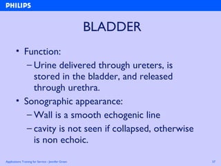 Applications Training for Service - Jennifer Green 57
BLADDER
• Function:
– Urine delivered through ureters, is
stored in the bladder, and released
through urethra.
• Sonographic appearance:
– Wall is a smooth echogenic line
– cavity is not seen if collapsed, otherwise
is non echoic.
 