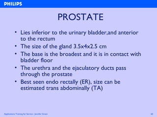 Applications Training for Service - Jennifer Green 60
PROSTATE
• Lies inferior to the urinary bladder,and anterior
to the rectum
• The size of the gland 3.5x4x2.5 cm
• The base is the broadest and it is in contact with
bladder floor
• The urethra and the ejaculatory ducts pass
through the prostate
• Best seen endo rectally (ER), size can be
estimated trans abdominally (TA)
 