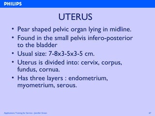 Applications Training for Service - Jennifer Green 67
UTERUS
• Pear shaped pelvic organ lying in midline.
• Found in the small pelvis infero-posterior
to the bladder
• Usual size: 7-8x3-5x3-5 cm.
• Uterus is divided into: cervix, corpus,
fundus, cornua.
• Has three layers : endometrium,
myometrium, serous.
 