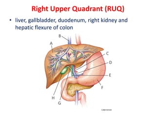Urq Abdoiminal examination | PPTX