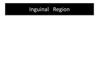 Inguinal Region
 