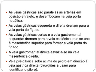  As veias gástricas são paralelas às artérias em







posição e trajeto, e desembocam na veia porta
hepática.
As veias gástricas esquerda e direita drenam para a
veia porta do fígado.
As veias gástricas curtas e a veia gastromental
esquerda: drenam para a veia esplênica, que se une
à mesentérica superior para formar a veia porta do
fígado.
A veia gastromental direita esvazia-se na veia
mesentérica direita.
Veia pré-pilórica sobe acima do piloro em direção à
veia gástrica direita (cirurgiões a usam para
identificar o piloro).

 