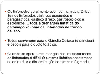  Os linfonodos geralmente acompanham as artérias.

Temos linfonodos gástricos esquerdos e
paragástricos, gástrico direito, gastroepiplóico e
esplênicos. E toda a drenagem linfática do
estômago vai para os linfonodos do tronco
celíaco.
 Todos convergem para o Gânglio Celíaco (o principal)

e depois para o ducto torácico.
 Quando se opera um tumor gástrico, ressecar todos

os linfonodos é difícil O sistema linfático anastomosase entre si, e a disseminação de tumores é grande.

 
