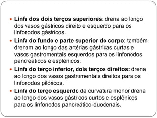  Linfa dos dois terços superiores: drena ao longo

dos vasos gástricos direito e esquerdo para os
linfonodos gástricos.
 Linfa do fundo e parte superior do corpo: também
drenam ao longo das artérias gástricas curtas e
vasos gastromentais esquerdos para os linfonodos
pancreáticos e esplênicos.
 Linfa do terço inferior, dois terços direitos: drena
ao longo dos vasos gastromentais direitos para os
linfonodos pilóricos.
 Linfa do terço esquerdo da curvatura menor drena
ao longo dos vasos gástricos curtos e esplênicos
para os linfonodos pancreático-duodenais.

 