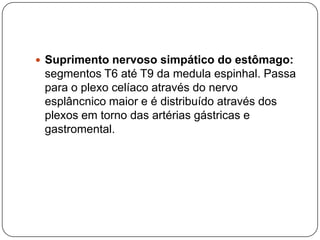  Suprimento nervoso simpático do estômago:

segmentos T6 até T9 da medula espinhal. Passa
para o plexo celíaco através do nervo
esplâncnico maior e é distribuído através dos
plexos em torno das artérias gástricas e
gastromental.

 
