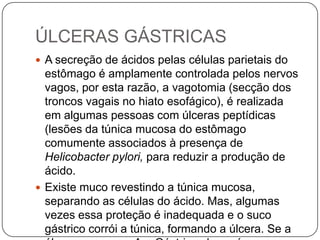 ÚLCERAS GÁSTRICAS
 A secreção de ácidos pelas células parietais do

estômago é amplamente controlada pelos nervos
vagos, por esta razão, a vagotomia (secção dos
troncos vagais no hiato esofágico), é realizada
em algumas pessoas com úlceras peptídicas
(lesões da túnica mucosa do estômago
comumente associados à presença de
Helicobacter pylori, para reduzir a produção de
ácido.
 Existe muco revestindo a túnica mucosa,
separando as células do ácido. Mas, algumas
vezes essa proteção é inadequada e o suco
gástrico corrói a túnica, formando a úlcera. Se a

 