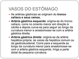 VASOS DO ESTÔMAGO
 As artérias gástricas se originam do tronco

celíaco e seus ramos.
 Artéria gástrica esquerda: origina-se do tronco
celíaco, corre no omento menor em direção à
cárdia e depois curva-se para seguir ao longo da
curvatura menor e anastomosar-se com a artéria
gástrica direita.
 Artéria gástrica direita: origina-se da artéria
hepática própria, às vezes da hepática comum ou
da gastroduodenal. Corre para a esquerda ao
longo da curvatura menor para anastomosar-se
com a artéria gástrica esquerda. Irriga a parte
distal da pequena curvatura.

 