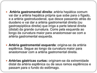  Artéria gastromental direita: artéria hepática comum

vai dar a artéria hepática própria que sobe para o fígado,
e a artéria gastroduodenal, que desce passando atrás do
duodeno e vai dar a artéria gastromental direita (ou
gastroepiplóica direita) que irriga a parte lateral direita
(distal) da grande curvatura. Corre pela esquerda ao
longo da curvatura maior para anastomosar-se com a
artéria gastromental esquerda.
 Artéria gastromental esquerda: origina-se da artéria

esplênica. Segue ao longo da curvatura maior para
anastomosar com a artéria gastromental direita.
 Artérias gástricas curtas: originam-se da extremidade

distal da artéria esplênica ou de seus ramos esplênicos e
passam para o fundo do estômago.

 