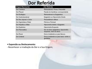 Dor Referida
• Expansão ou Deslocamento:
- Reconhecer a irradiação da Dor e a Sua Origem;
 