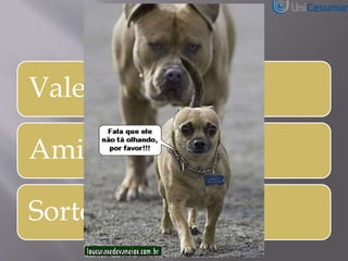 Valencia Social
Amizade
Sorte
 