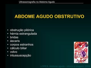 Ultrassonografia no Abdome Agudo
• obstrução pilórica
• hérnia estrangulada
• bridas
• áscaris
• corpos estranhos
• cálculo biliar
• volvo
• intussuscepção
LOPES. Abdome agudo - clínica e imagem, 2004
ABDOME AGUDO OBSTRUTIVO
 