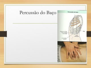 Percussão do Baço
 
