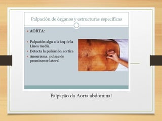 Palpação da Aorta abdominal
 