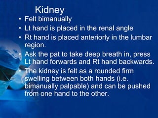 Bimanually Abdomen | PPTX