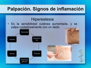 Palpación. Signos de inflamación

                       Hiperestesia
• Es la sensibilidad cutánea aumentada, y se
  palpa cuidadosamente con un dedo.
           Vesicular


                        Apendicu
 Uretral                   lar




 Renal                  Anexial


           Gastroes
            plenica
 