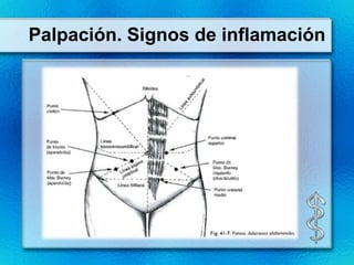 Palpación. Signos de inflamación
 