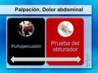 Palpación. Dolor abdominal




Puñopercusión
                Prueba del
                obturador
 