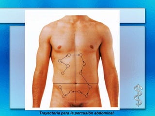 Trayectoria para la percusión abdominal.
 