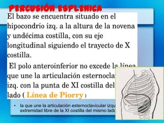• la que une la articulación esternoclavicular izquierda con la
  extremidad libre de la XI costilla del mismo lado
 