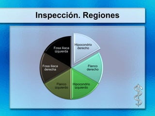 Inspección. Regiones


                       Hipocondrio
        Fosa iliaca      derecho
         izquierda



 Fosa iliaca                    Flanco
  derecha                      derecho



           Flanco     Hipocondrio
         izquierdo     izquierdo
 