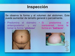 Inspección

Se observa la forma y el volumen del abdomen. Este
puede aumentar de tamaño general o parcialmente.
• Predomina el diámetro       • Si     predomina     el
  anteroposterior y así         transversal, toma la
  tomar la forma “globosa”.     forma en “batracio”.
 