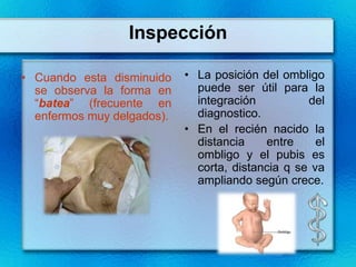Inspección

• Cuando esta disminuido    • La posición del ombligo
  se observa la forma en      puede ser útil para la
  “batea” (frecuente en       integración          del
  enfermos muy delgados).     diagnostico.
                            • En el recién nacido la
                              distancia    entre     el
                              ombligo y el pubis es
                              corta, distancia q se va
                              ampliando según crece.
 