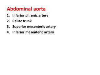 Abdominal aorta
1. Inferior phrenic artery
2. Celiac trunk
3. Superior mesenteric artery
4. Inferior mesenteric artery