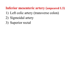 Inferior mesenteric artery (unpeared L3)
1) Left colic artery (transverse colon)
2) Sigmoidal artery
3) Superior rectal