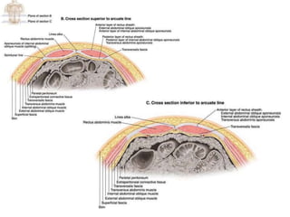 • mk:@MSITStore:D: