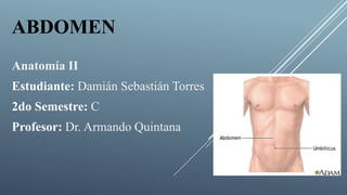 ABDOMEN
Anatomía II
Estudiante: Damián Sebastián Torres
2do Semestre: C
Profesor: Dr. Armando Quintana
 