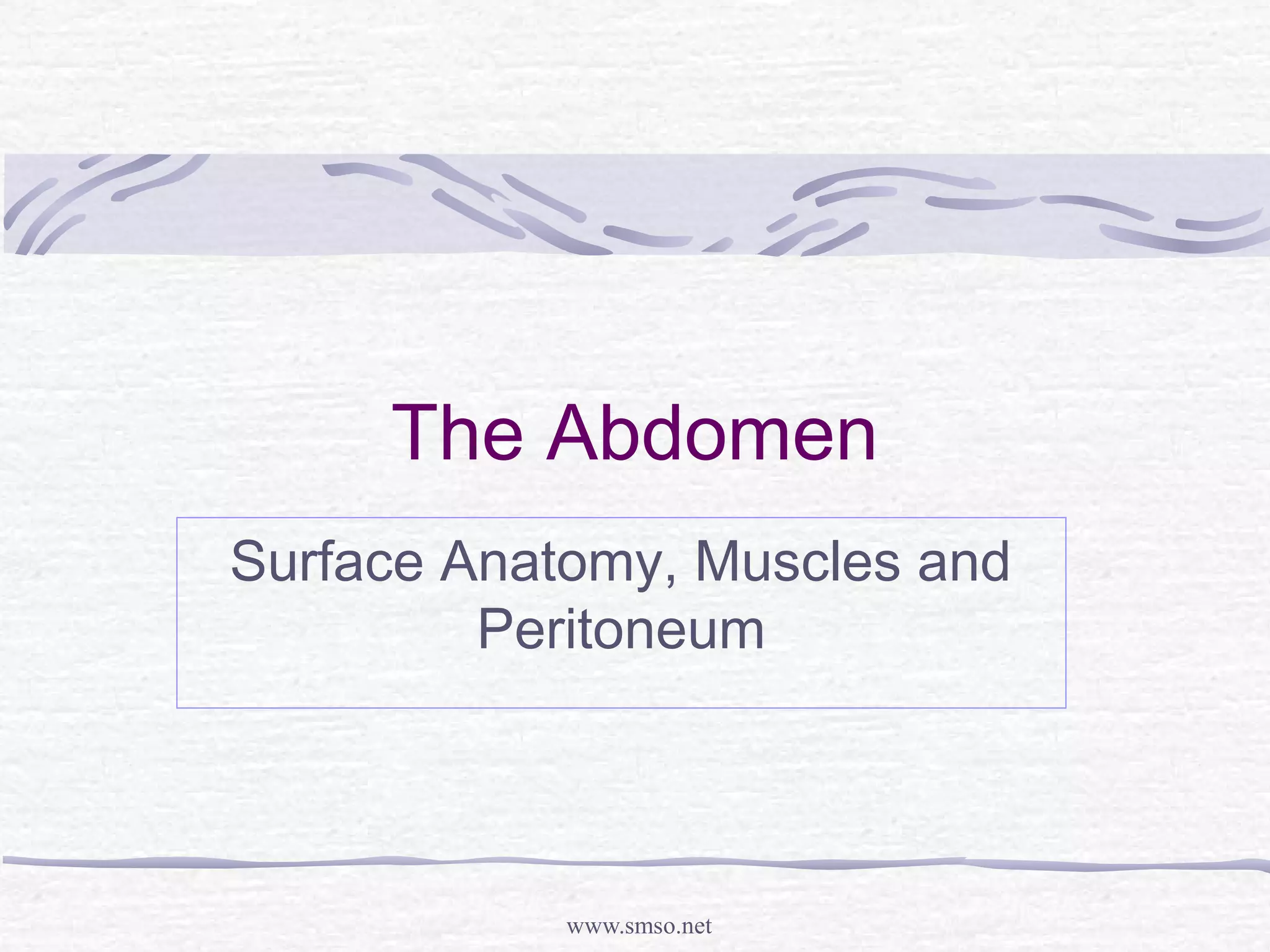 Abdomen | PPT