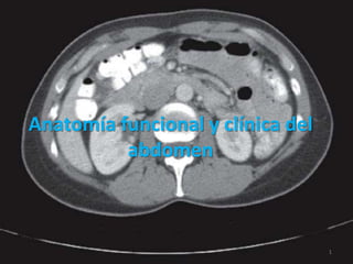 Anatomía funcional y clínica del
abdomen
1
 
