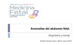 Anomalías del abdomen fetal.
Diagnóstico y manejo
Beatriz Herrero Ruiz. HULP. Junio 2018
 