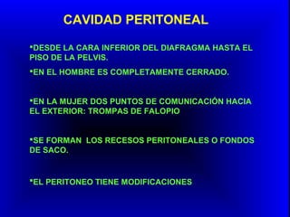 CAVIDAD PERITONEAL
DESDE LA CARA INFERIOR DEL DIAFRAGMA HASTA EL
PISO DE LA PELVIS.
EN EL HOMBRE ES COMPLETAMENTE CERRADO.
EN LA MUJER DOS PUNTOS DE COMUNICACIÓN HACIA
EL EXTERIOR: TROMPAS DE FALOPIO
SE FORMAN LOS RECESOS PERITONEALES O FONDOS
DE SACO.
EL PERITONEO TIENE MODIFICACIONES
 