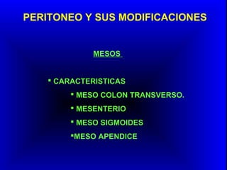 PERITONEO Y SUS MODIFICACIONES
MESOS
 CARACTERISTICAS
 MESO COLON TRANSVERSO.
 MESENTERIO
 MESO SIGMOIDES
MESO APENDICE
 