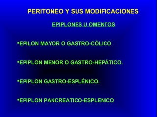PERITONEO Y SUS MODIFICACIONES
EPIPLONES U OMENTOS
EPILON MAYOR O GASTRO-CÓLICO
EPIPLON MENOR O GASTRO-HEPÁTICO.
EPIPLON GASTRO-ESPLÉNICO.
EPIPLON PANCREATICO-ESPLÉNICO
 