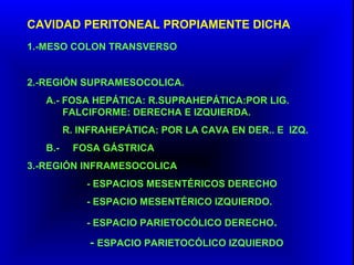 CAVIDAD PERITONEAL PROPIAMENTE DICHA
1.-MESO COLON TRANSVERSO
2.-REGIÓN SUPRAMESOCOLICA.
A.- FOSA HEPÁTICA: R.SUPRAHEPÁTICA:POR LIG.
FALCIFORME: DERECHA E IZQUIERDA.
R. INFRAHEPÁTICA: POR LA CAVA EN DER.. E IZQ.
B.- FOSA GÁSTRICA
3.-REGIÓN INFRAMESOCOLICA
- ESPACIOS MESENTÉRICOS DERECHO
- ESPACIO MESENTÉRICO IZQUIERDO.
- ESPACIO PARIETOCÓLICO DERECHO.
- ESPACIO PARIETOCÓLICO IZQUIERDO
 