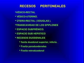 RECESOS PERITONEALES
VÉSICO-RECTAL
 VÉSICO-UTERINO.
 ÚTERO-RECTAL ( DOUGLAS ).
TRANSCAVIDAD DE LOS EPIPLONES
 ESPACIO SUBFRÉNICO.
 ESPACIO SUB HEPÁTICO
 RECESOS DUODENALES
 fosita duodenal superior, inferio.
 Fosita paraduodenales
 Fosita retroduodenal
 