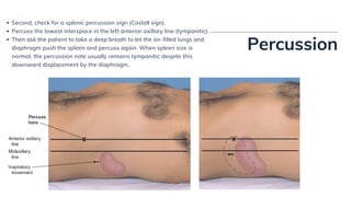 Physical Examination of the Abdomen | PDF