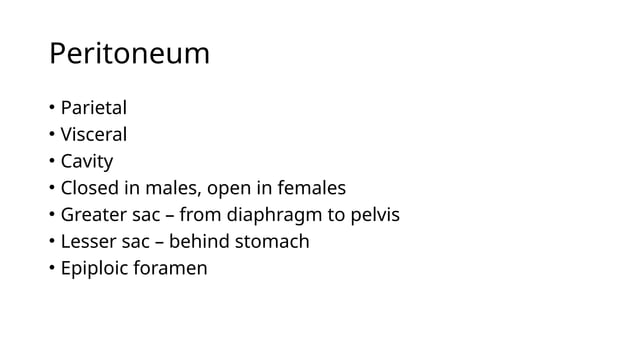 abdomen.pptx anatomy described perfectly | PPTX