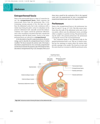 abdomen. anatomy general medicine in dentistry | PDF