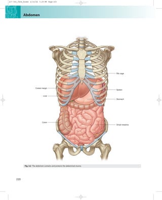 abdomen. anatomy general medicine in dentistry | PDF