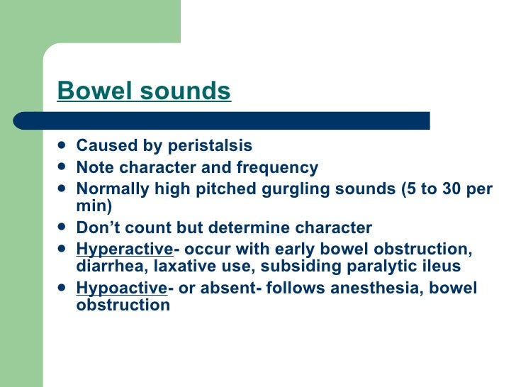 Horse Bowel Sounds