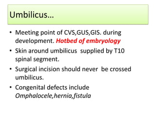 Umbilicus…
• Meeting point of CVS,GUS,GIS. during
development. Hotbed of embryology
• Skin around umbilicus supplied by T10
spinal segment.
• Surgical incision should never be crossed
umbilicus.
• Congenital defects include
Omphalocele,hernia,fistula

 