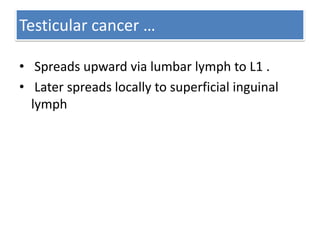 Testicular cancer …
• Spreads upward via lumbar lymph to L1 .
• Later spreads locally to superficial inguinal
lymph

 