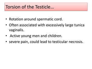 Torsion of the Testicle…
• Rotation around spermatic cord.
• Often associated with excessively large tunica
vaginalis.
• Active young men and children.
• severe pain, could lead to testicular necrosis.

 