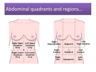 Abdominal quadrants and regions…

 
