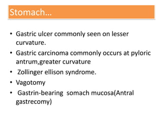 Stomach…
• Gastric ulcer commonly seen on lesser
curvature.
• Gastric carcinoma commonly occurs at pyloric
antrum,greater curvature
• Zollinger ellison syndrome.
• Vagotomy
• Gastrin-bearing somach mucosa(Antral
gastrecomy)

 