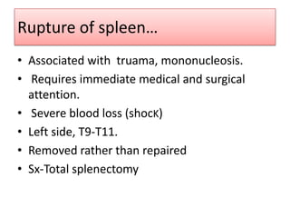 Rupture of spleen…
• Associated with truama, mononucleosis.
• Requires immediate medical and surgical
attention.
• Severe blood loss (shocK)
• Left side, T9-T11.
• Removed rather than repaired
• Sx-Total splenectomy

 